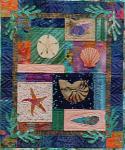 Seashells - PATTERN