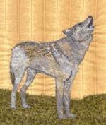 2101-01-wolf1_th.jpg