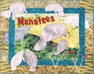 Manatees - PATTERN