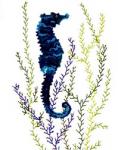 Punch Needle Seahorse - PATTERN